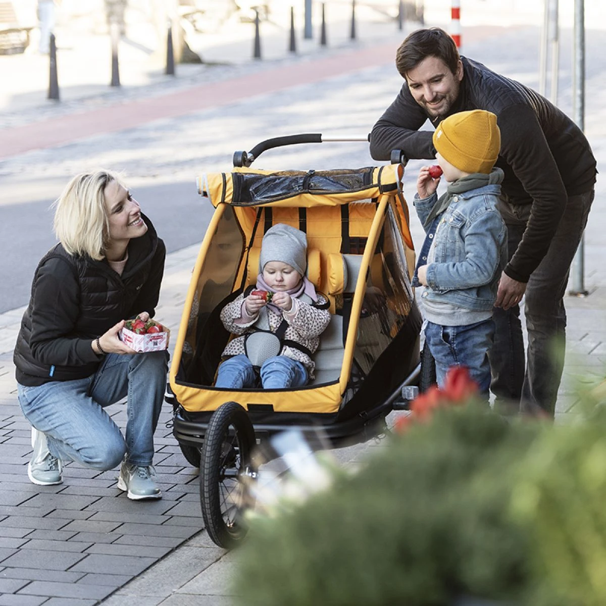 XLC Remorque Enfant Duo S 20" Gris/orange 2 XLC Remorque Enfant Duo S 20" Gris/orange – Image 2